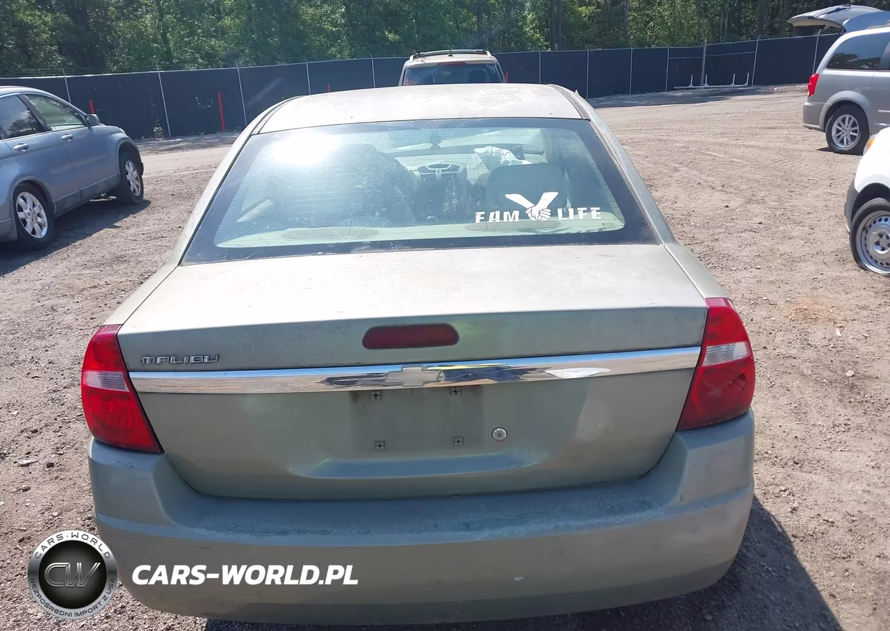 2004 Chevrolet Malibu Ls VIN:1G1ZT548X4F146655 - 17