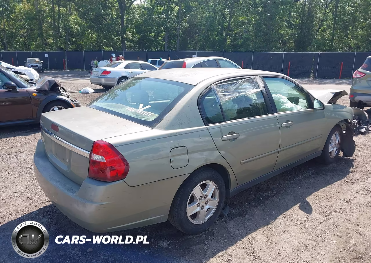 2004 Chevrolet Malibu Ls VIN:1G1ZT548X4F146655 - 4