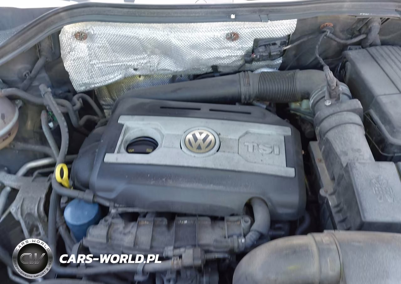 2016 Volkswagen Tiguan S VIN:WVGBV7AX5GW599673 - 10