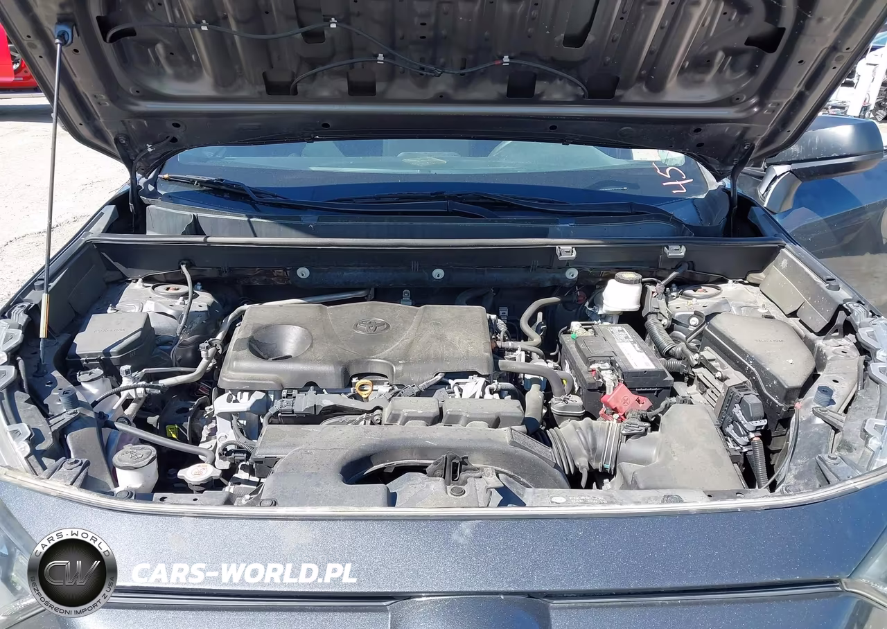 2019 Toyota Rav4 Le VIN:2T3H1RFV2KC029491 - 10