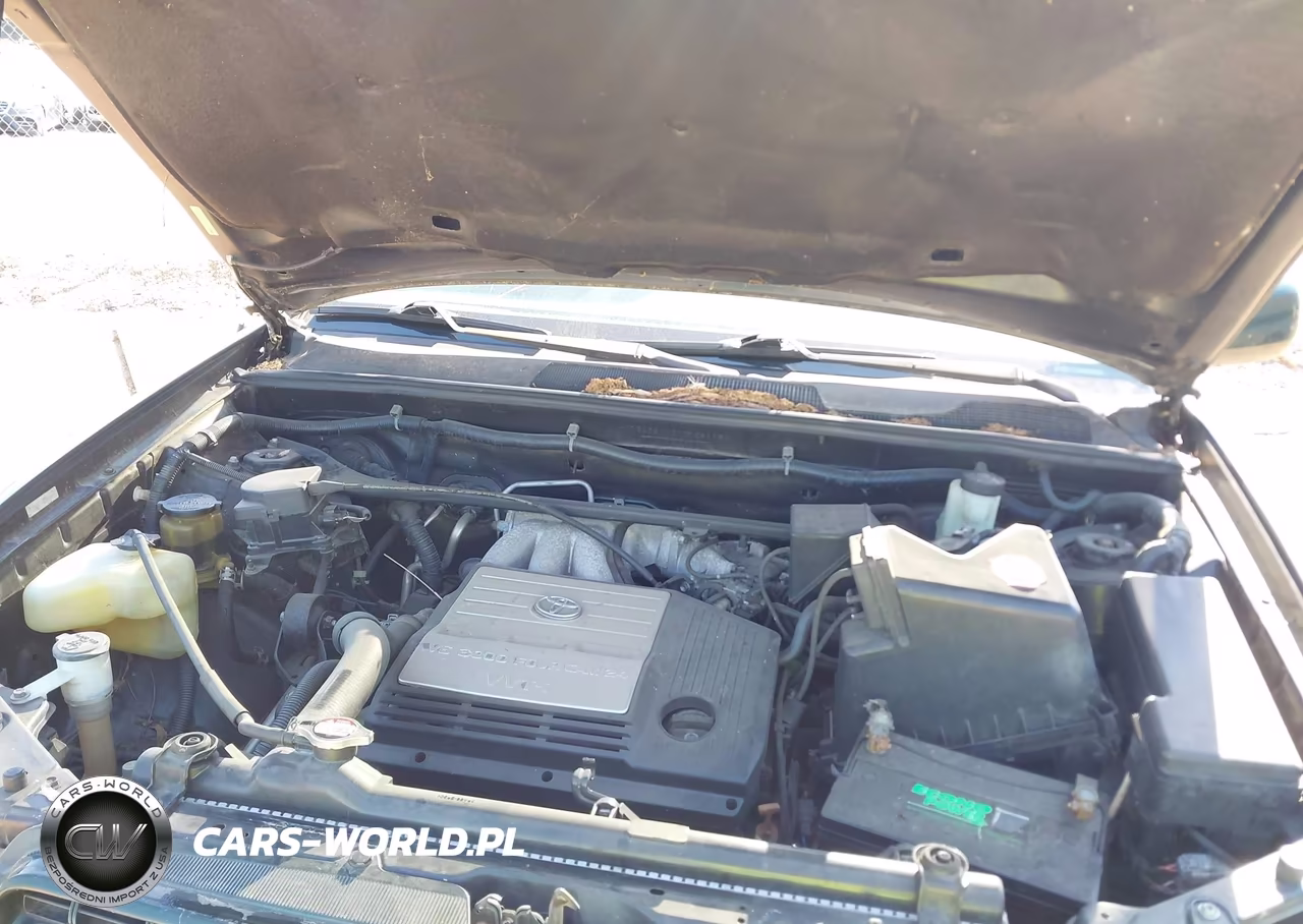 2001 Toyota Highlander V6 VIN:JTEGF21A210028119 - 10