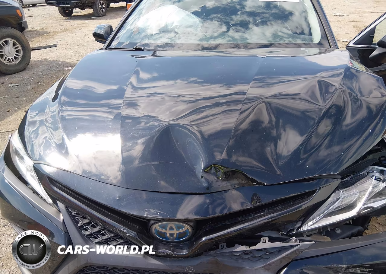 2019 Toyota Camry Hybrid Se VIN:4T1B21HK6KU515431 - 10