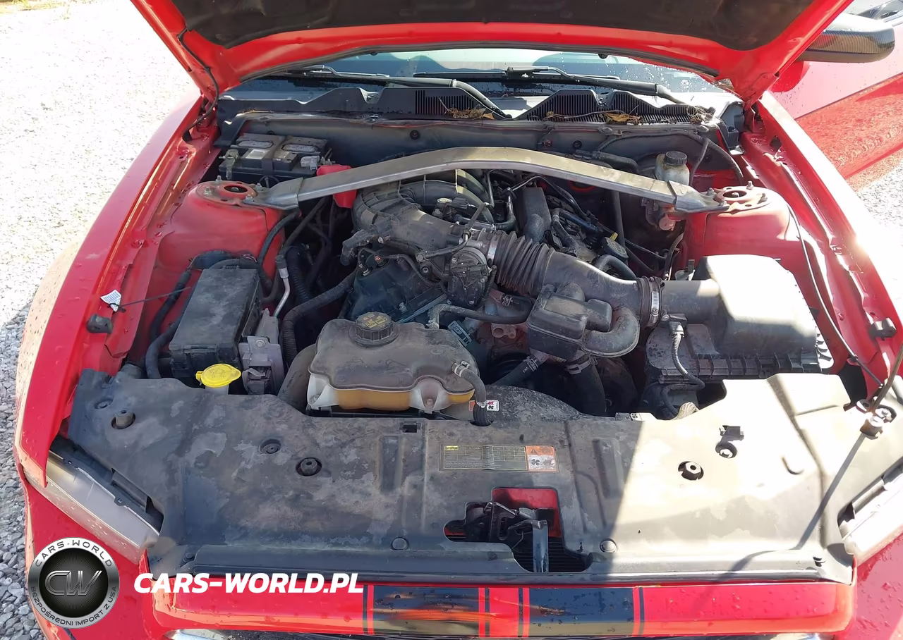 2014 Ford Mustang V6 VIN:1ZVBP8AM3E5334549 - 10