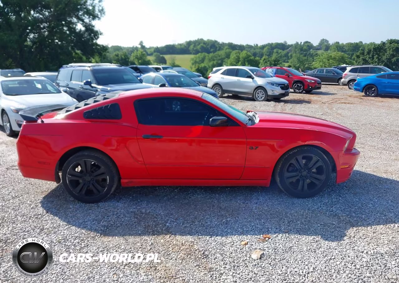 2014 Ford Mustang V6 VIN:1ZVBP8AM3E5334549 - 13