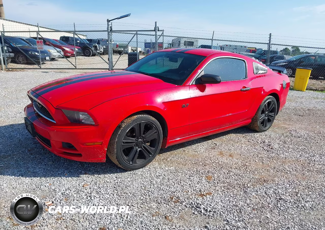 2014 Ford Mustang V6 VIN:1ZVBP8AM3E5334549 - 2