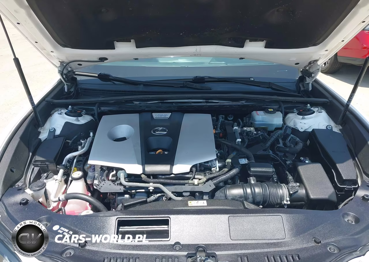 2021 Lexus Es 300H VIN:58ADA1C13MU005088 - 10