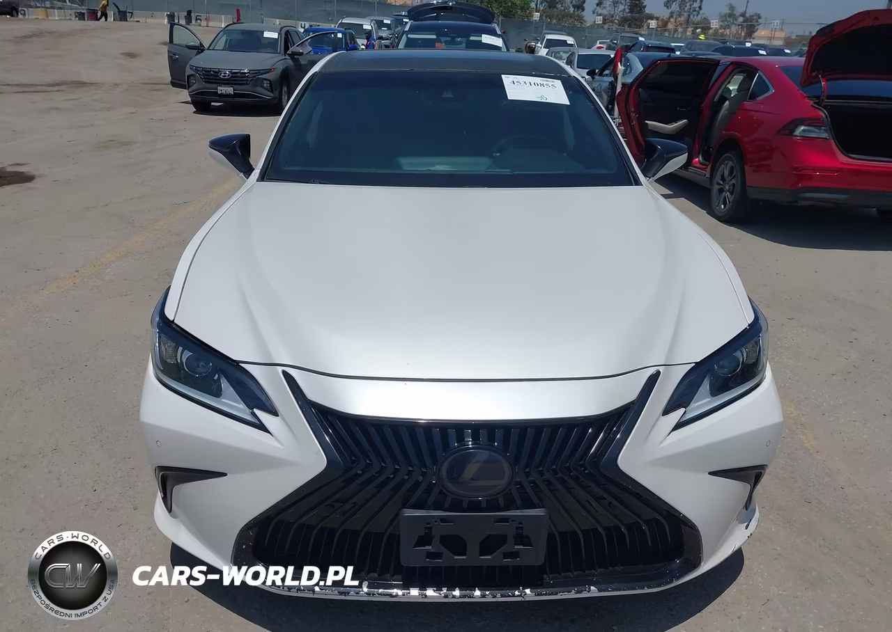 2021 Lexus Es 300H VIN:58ADA1C13MU005088 - 12