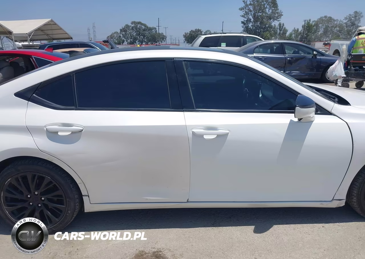 2021 Lexus Es 300H VIN:58ADA1C13MU005088 - 13