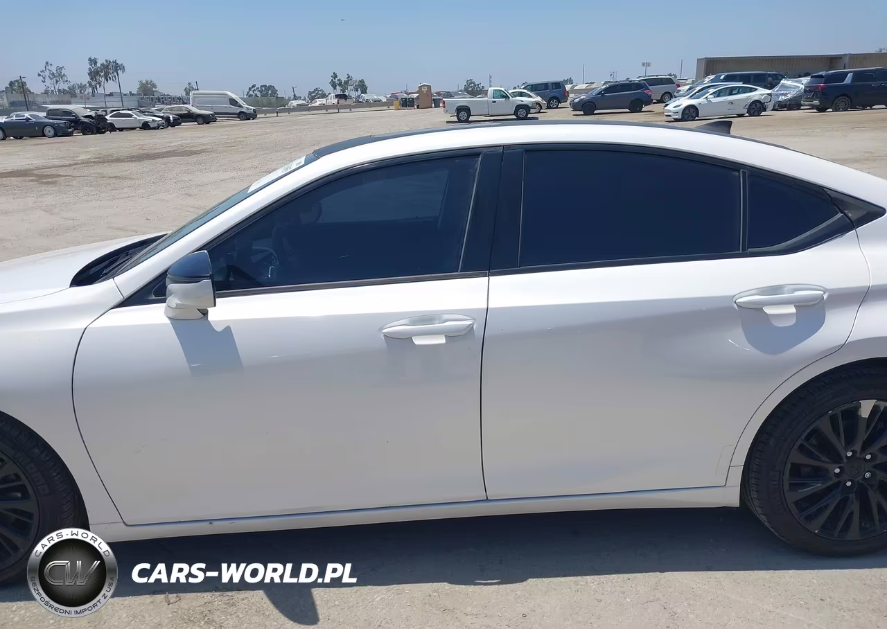 2021 Lexus Es 300H VIN:58ADA1C13MU005088 - 14