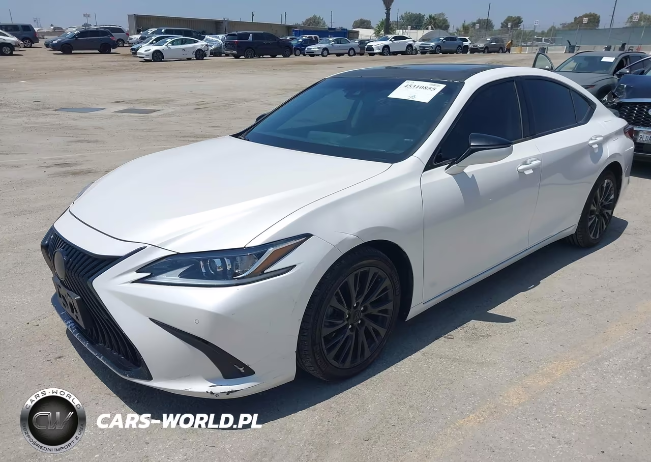 2021 Lexus Es 300H VIN:58ADA1C13MU005088 - 2