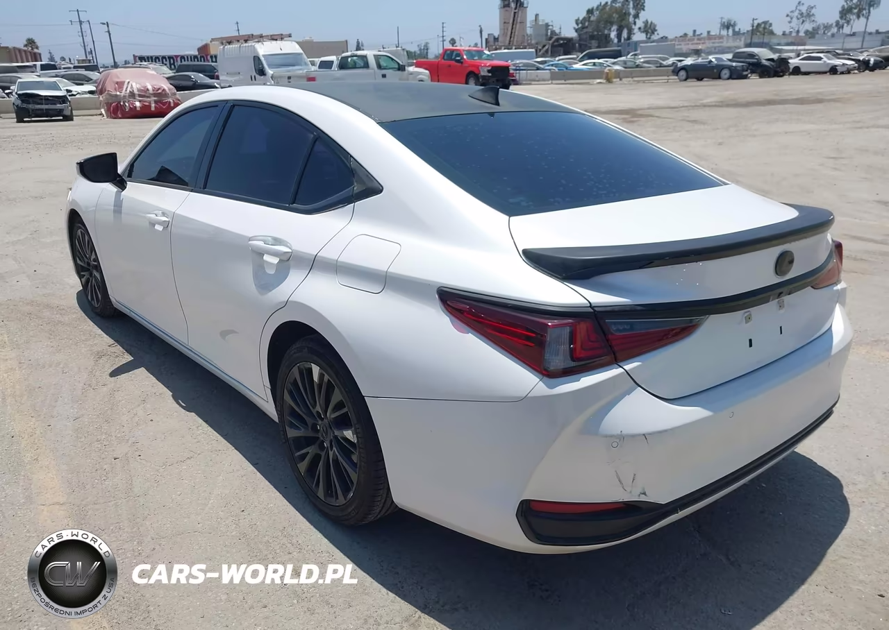 2021 Lexus Es 300H VIN:58ADA1C13MU005088 - 3