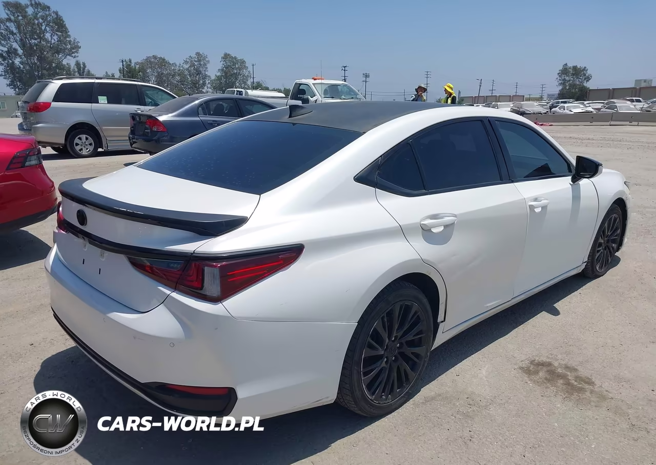 2021 Lexus Es 300H VIN:58ADA1C13MU005088 - 4