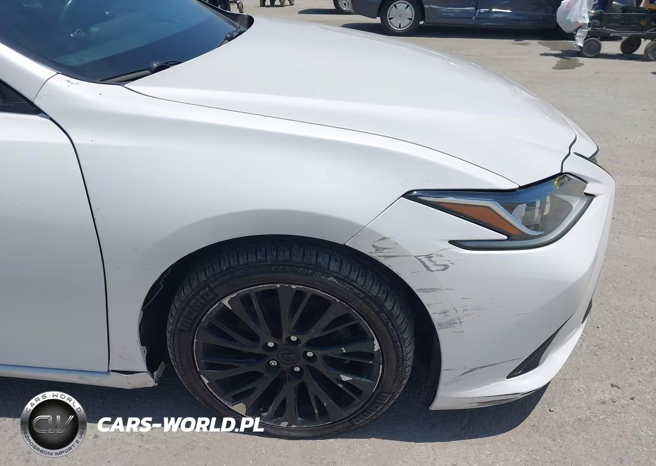 2021 Lexus Es 300H VIN:58ADA1C13MU005088 - 6