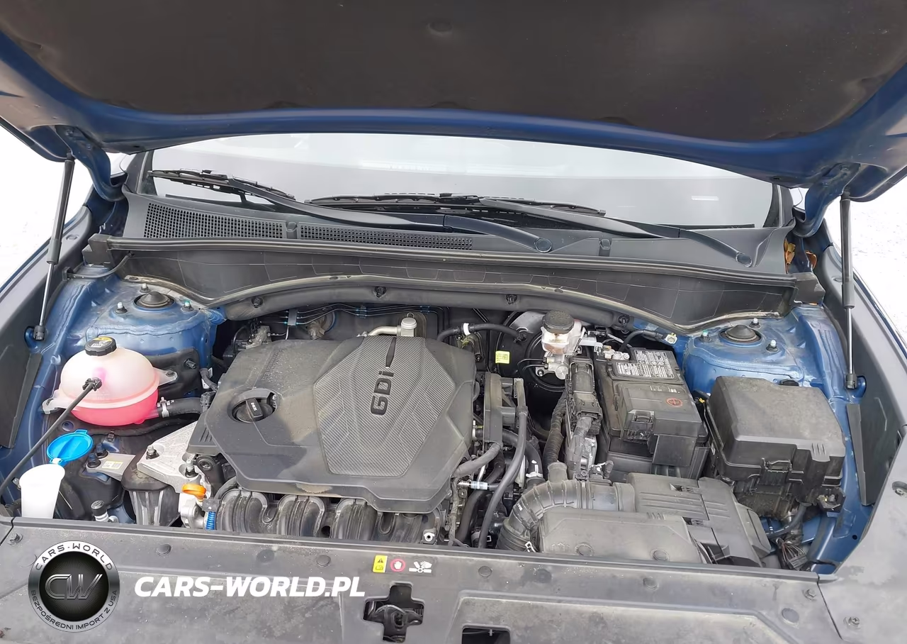 2023 Hyundai Santa Fe Sel VIN:5NMS24AJ2PH557861 - 10