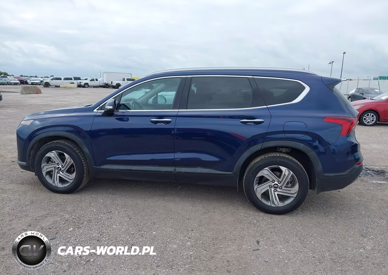 2023 Hyundai Santa Fe Sel VIN:5NMS24AJ2PH557861 - 14