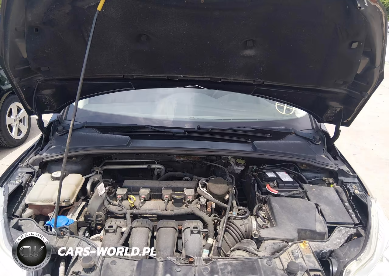 2013 Ford Focus S VIN:1FADP3E21DL257865 - 10