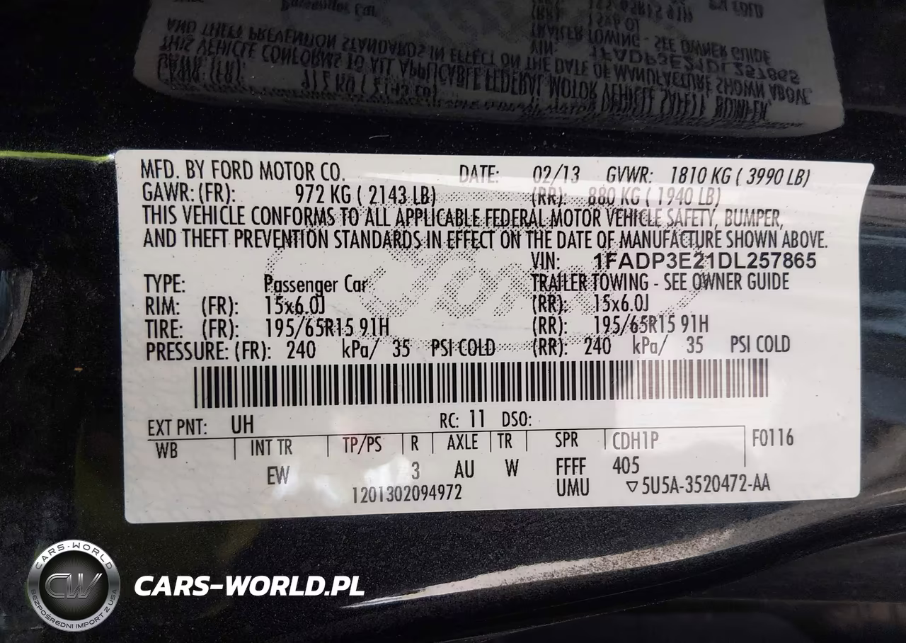 2013 Ford Focus S VIN:1FADP3E21DL257865 - 9