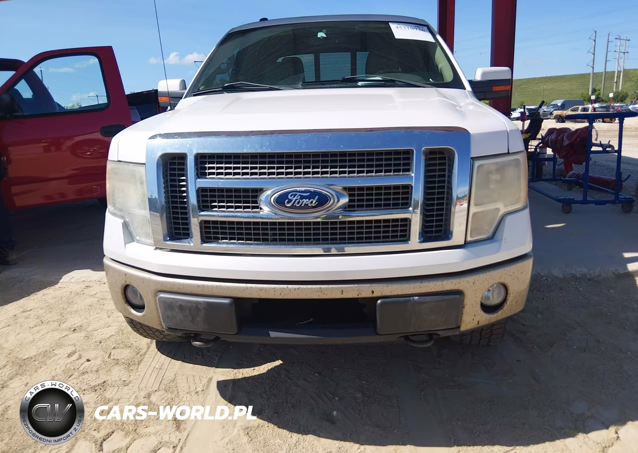 2010 Ford F-150 VIN:1FTFW1EV5AFC14659 - 12