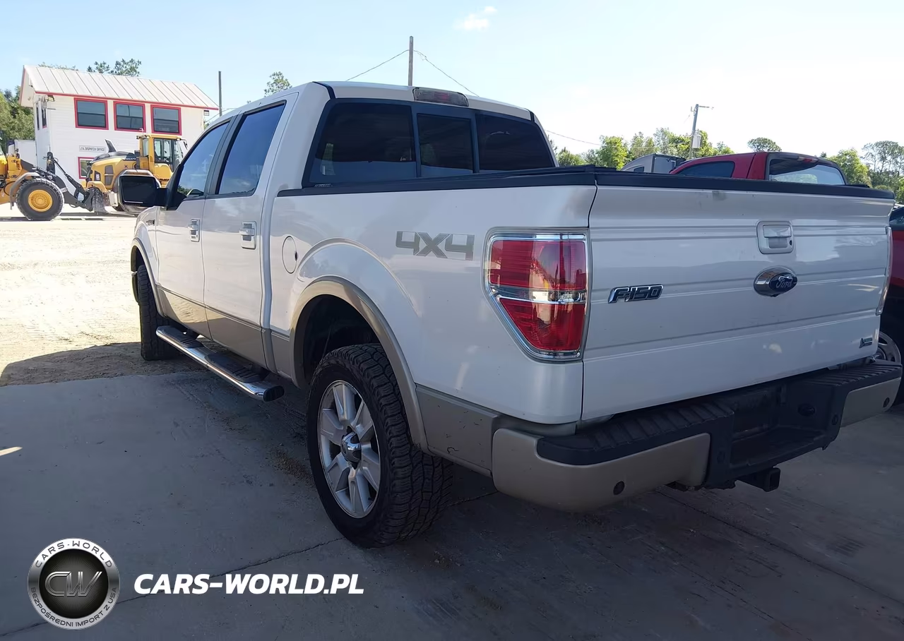 2010 Ford F-150 VIN:1FTFW1EV5AFC14659 - 3