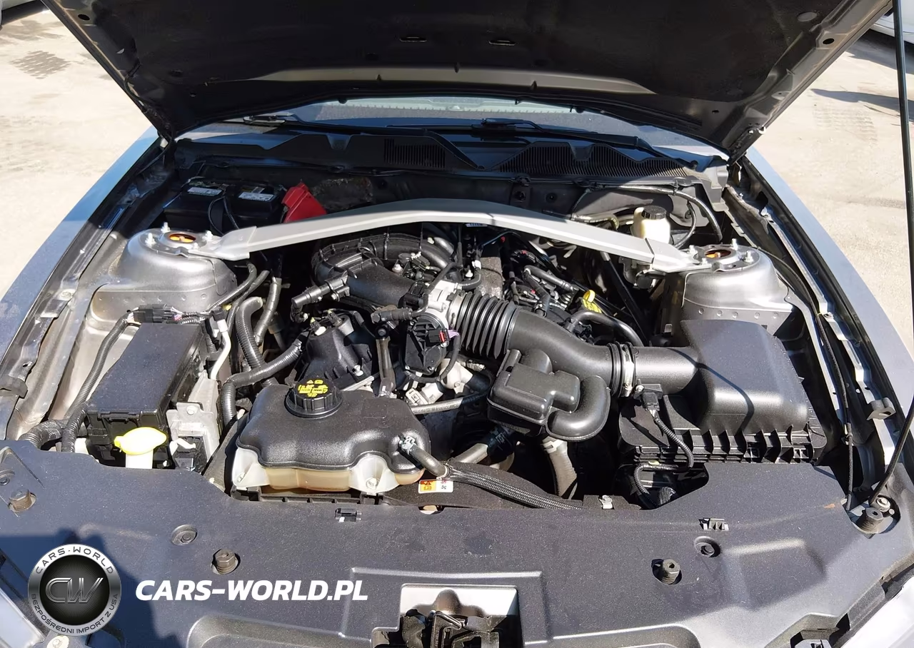 2011 Ford Mustang V6 Premium VIN:1ZVBP8EM0B5159456 - 10