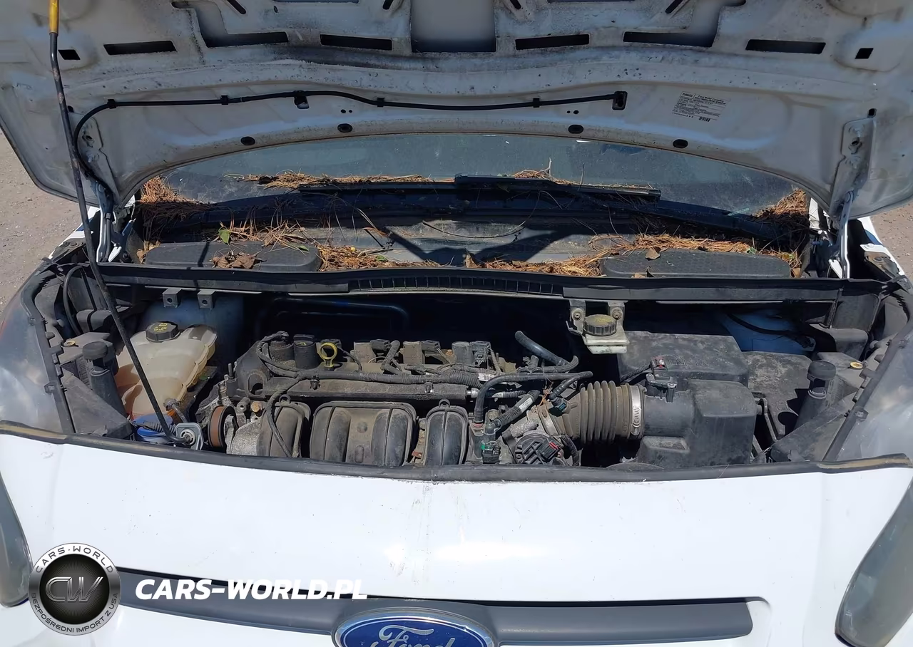2016 Ford Transit Connect Xl VIN:NM0LS7E78G1274389 - 10