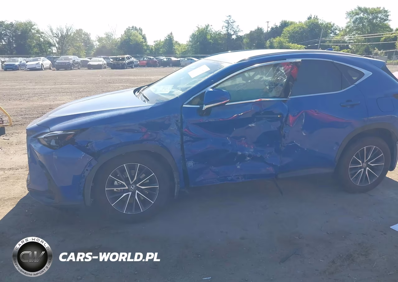 2024 Lexus Nx 350H Premium VIN:2T2GKCEZ2RC021741 - 6
