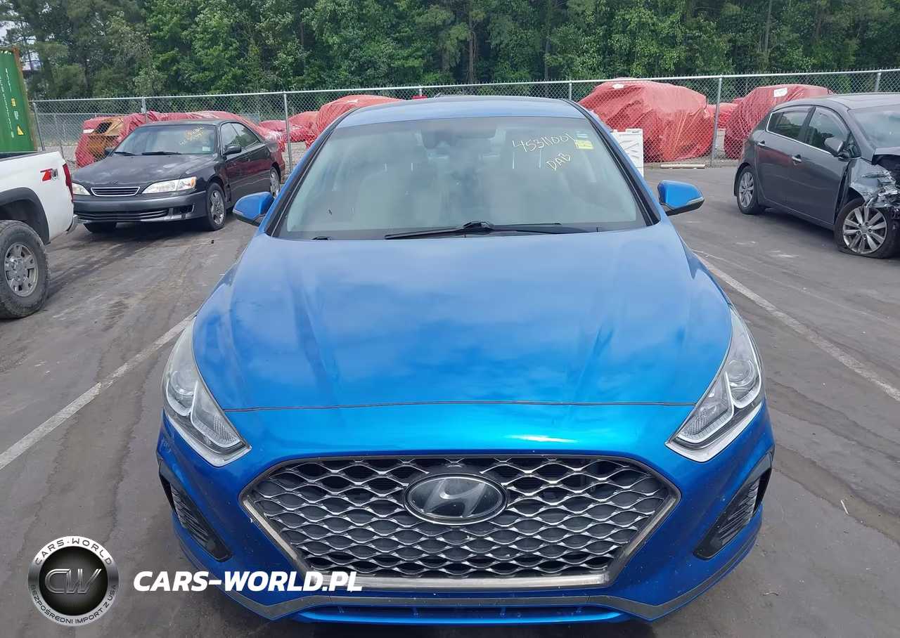 2019 Hyundai Sonata Sel VIN:5NPE34AF3KH771310 - 12