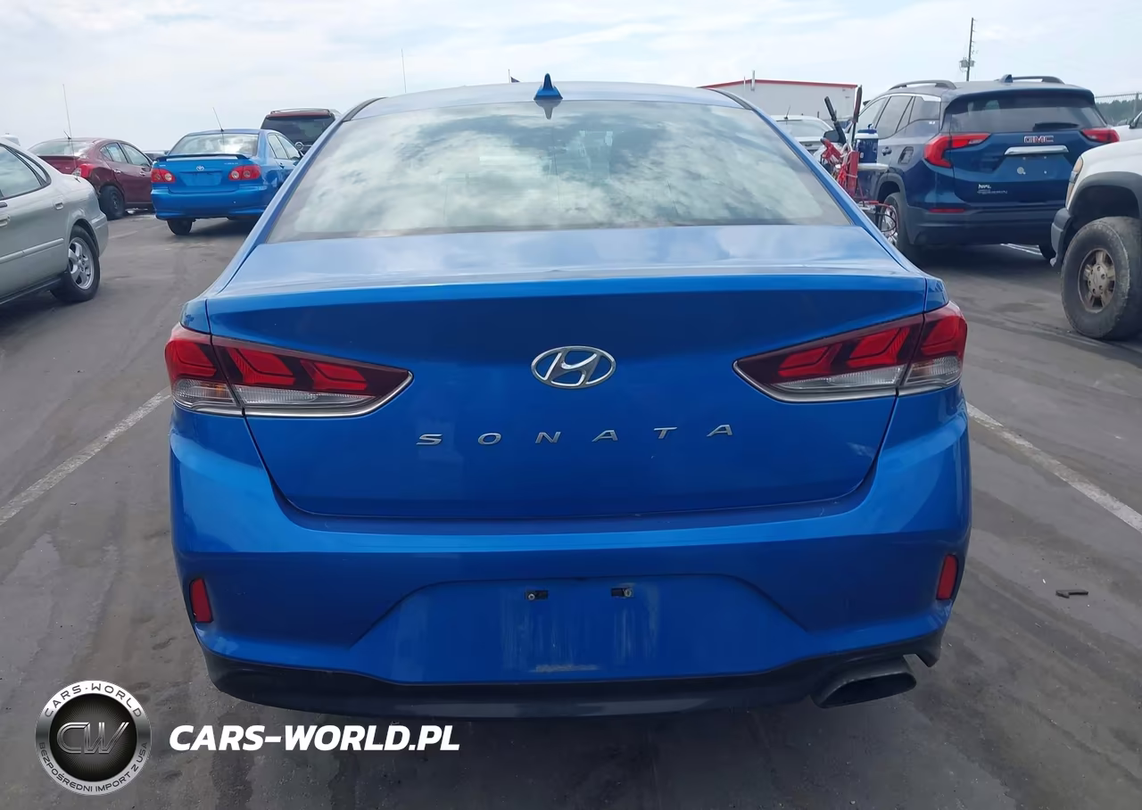 2019 Hyundai Sonata Sel VIN:5NPE34AF3KH771310 - 16