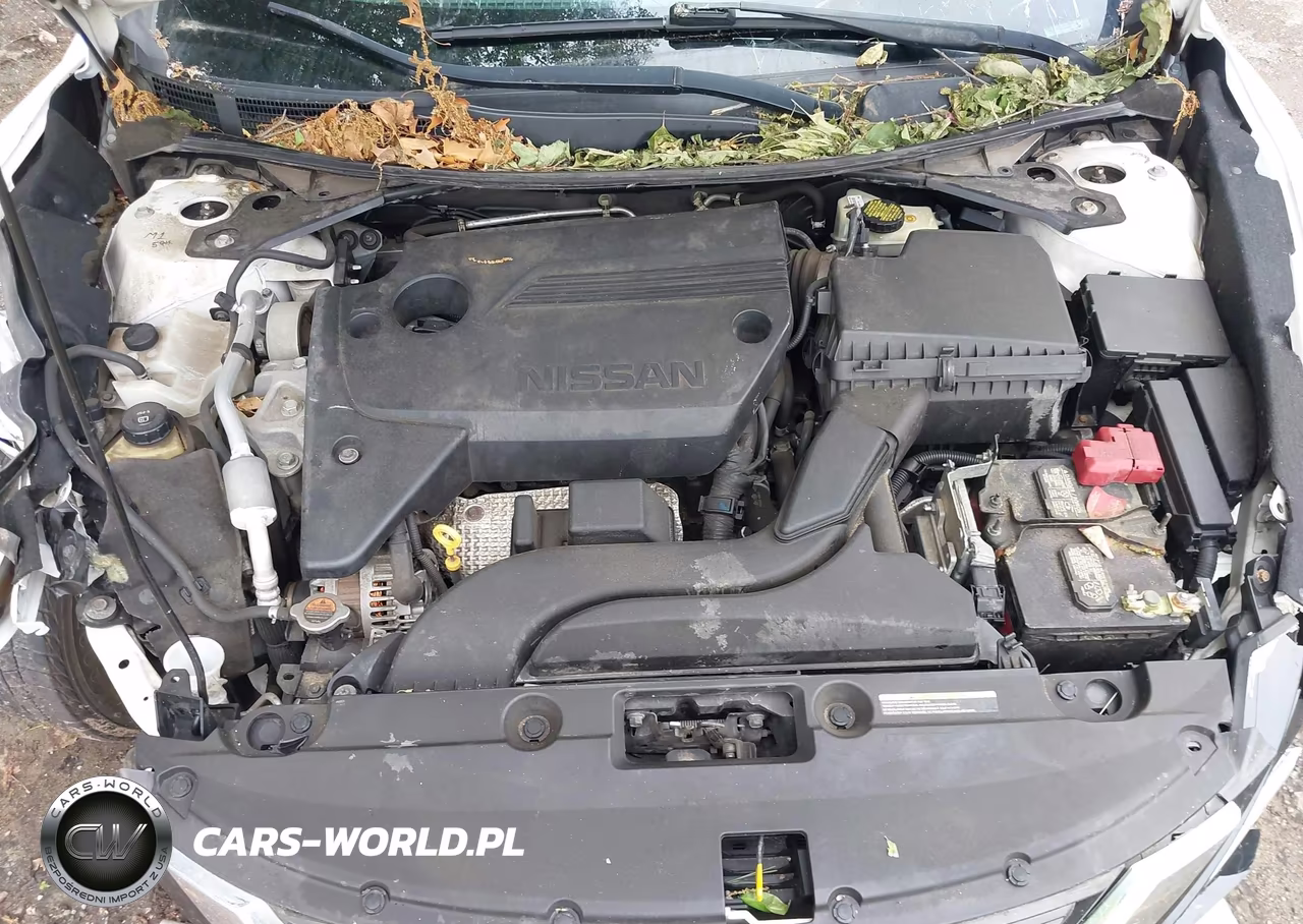 2016 Nissan Altima 2.5 S VIN:1N4AL3AP4GC162771 - 10