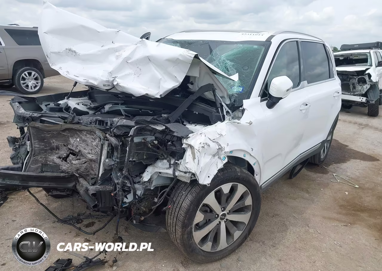 2022 Kia Telluride S VIN:5XYP64HCXNG263794 - 2