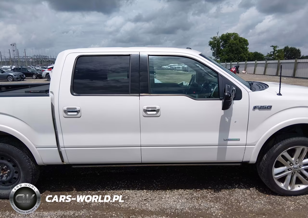 2013 Ford F-150 Limited VIN:1FTFW1CT1DFA01875 - 14