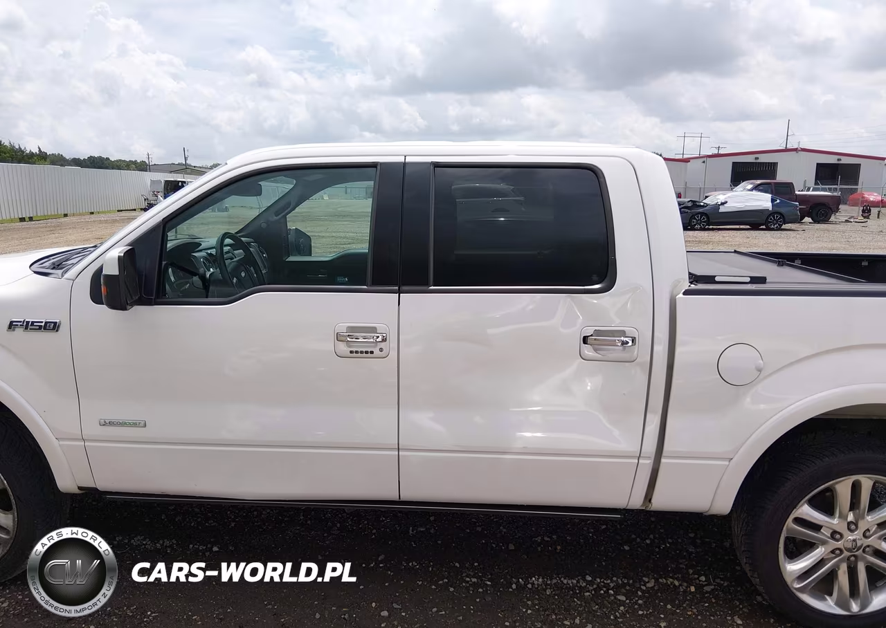 2013 Ford F-150 Limited VIN:1FTFW1CT1DFA01875 - 15