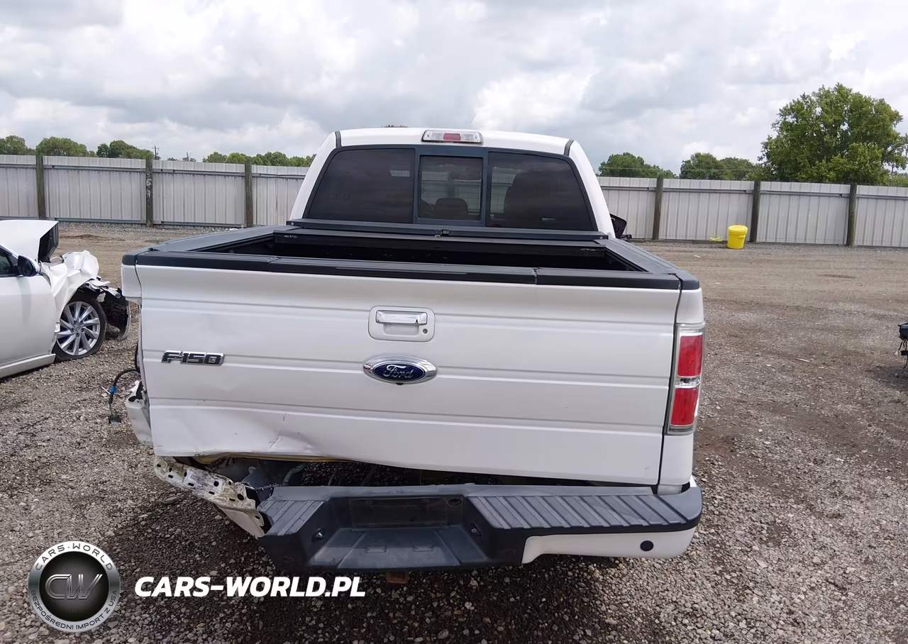 2013 Ford F-150 Limited VIN:1FTFW1CT1DFA01875 - 17