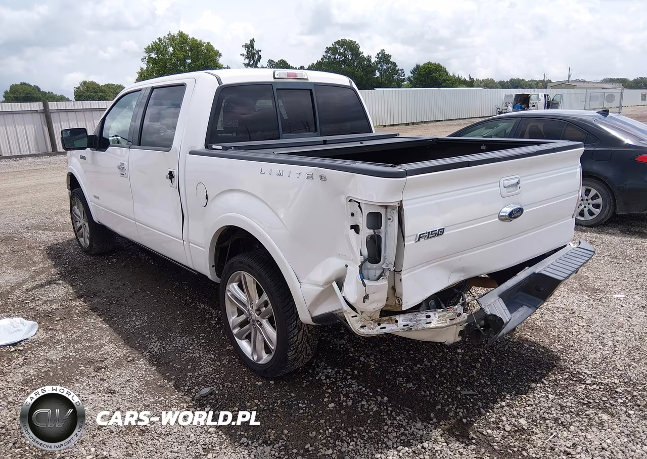 2013 Ford F-150 Limited VIN:1FTFW1CT1DFA01875 - 3