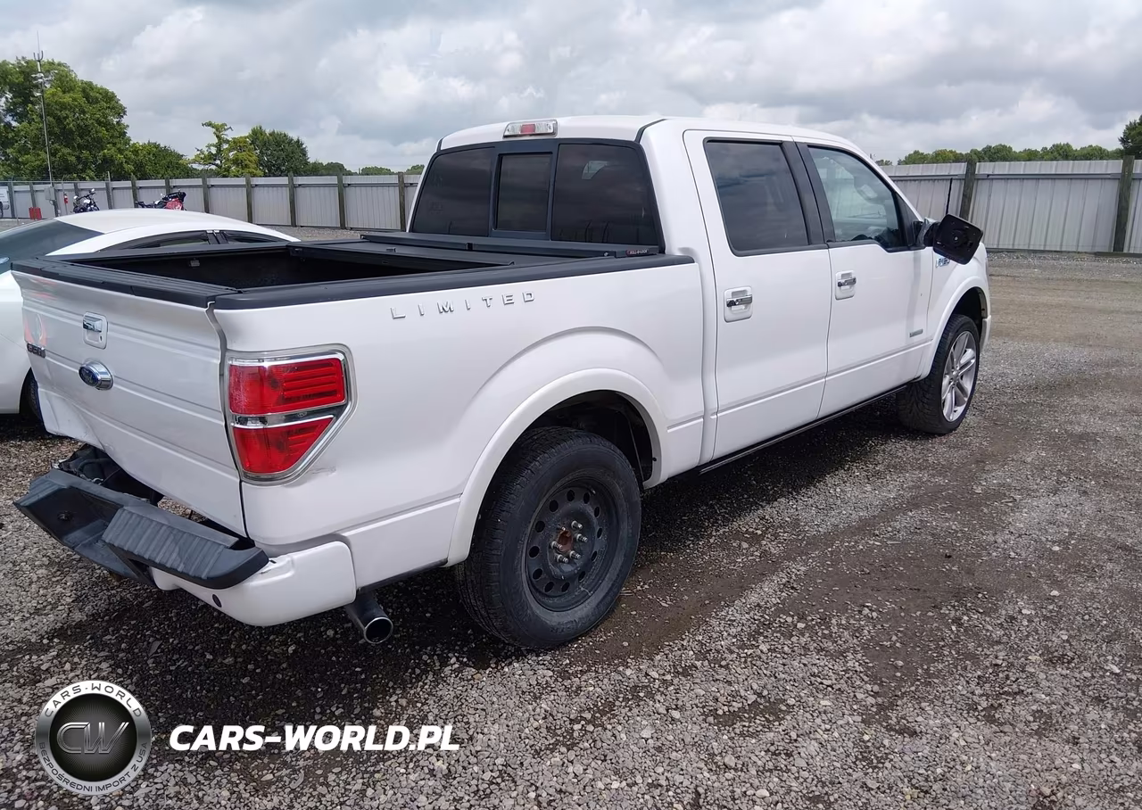 2013 Ford F-150 Limited VIN:1FTFW1CT1DFA01875 - 4