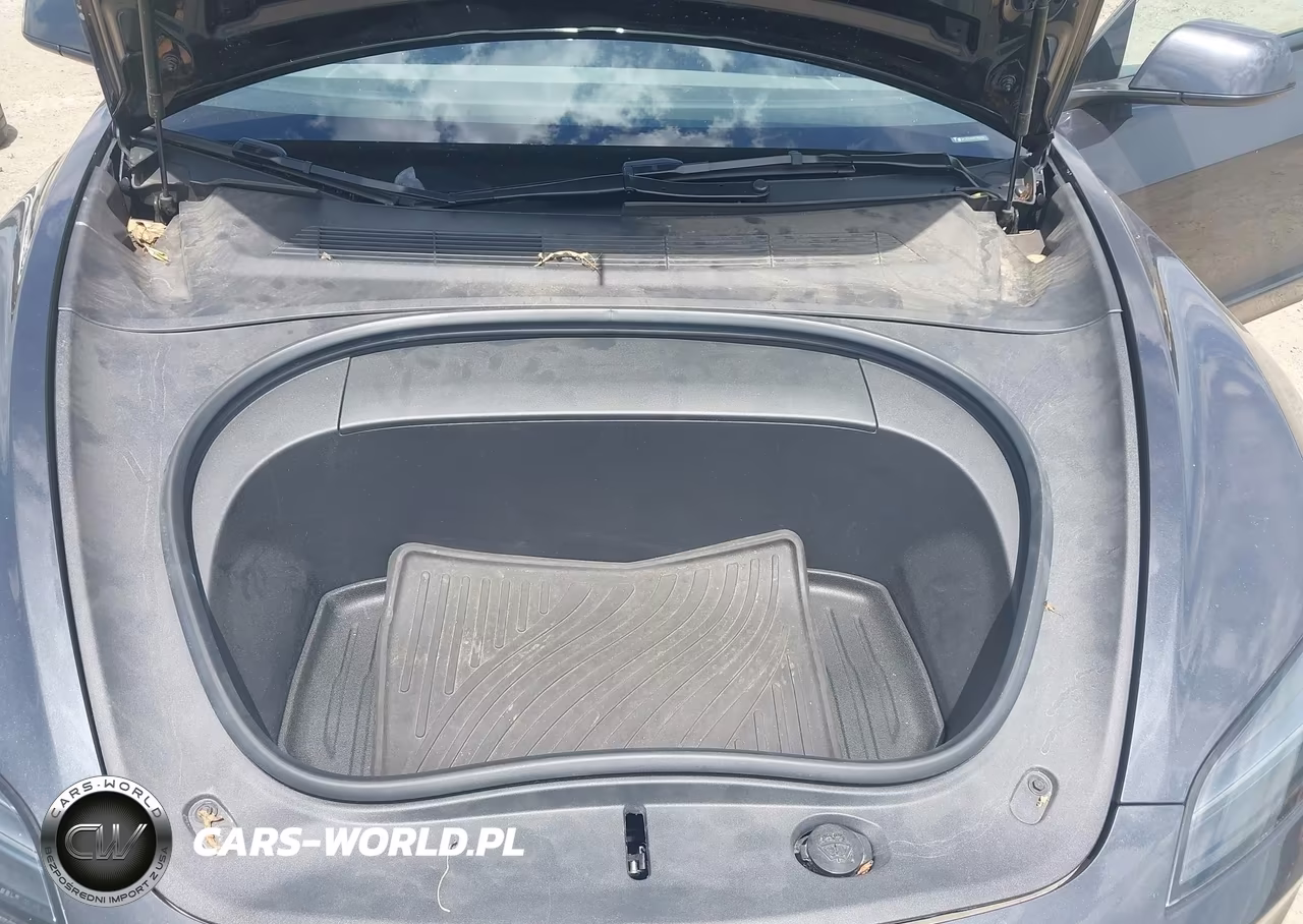 2024 Tesla Model 3 VIN:5YJ3E1EA6RF785838 - 10