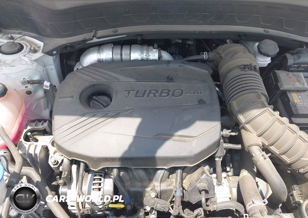 2023 Kia Seltos Sx Turbo VIN:KNDETCA21P7453317 - 10