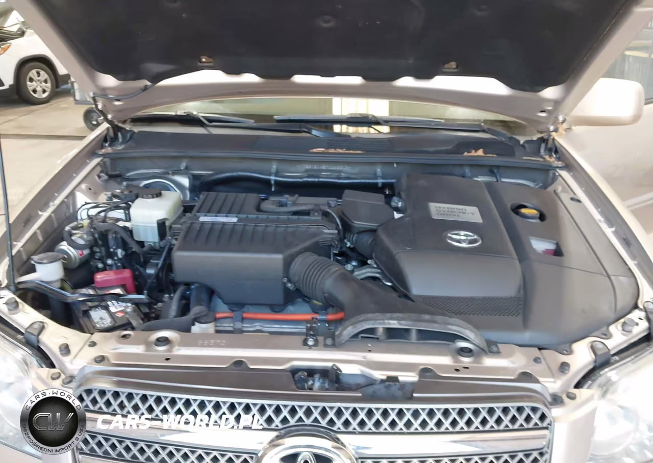 2007 Toyota Highlander Hybrid Limited V6 VIN:JTEEW21A570045819 - 10