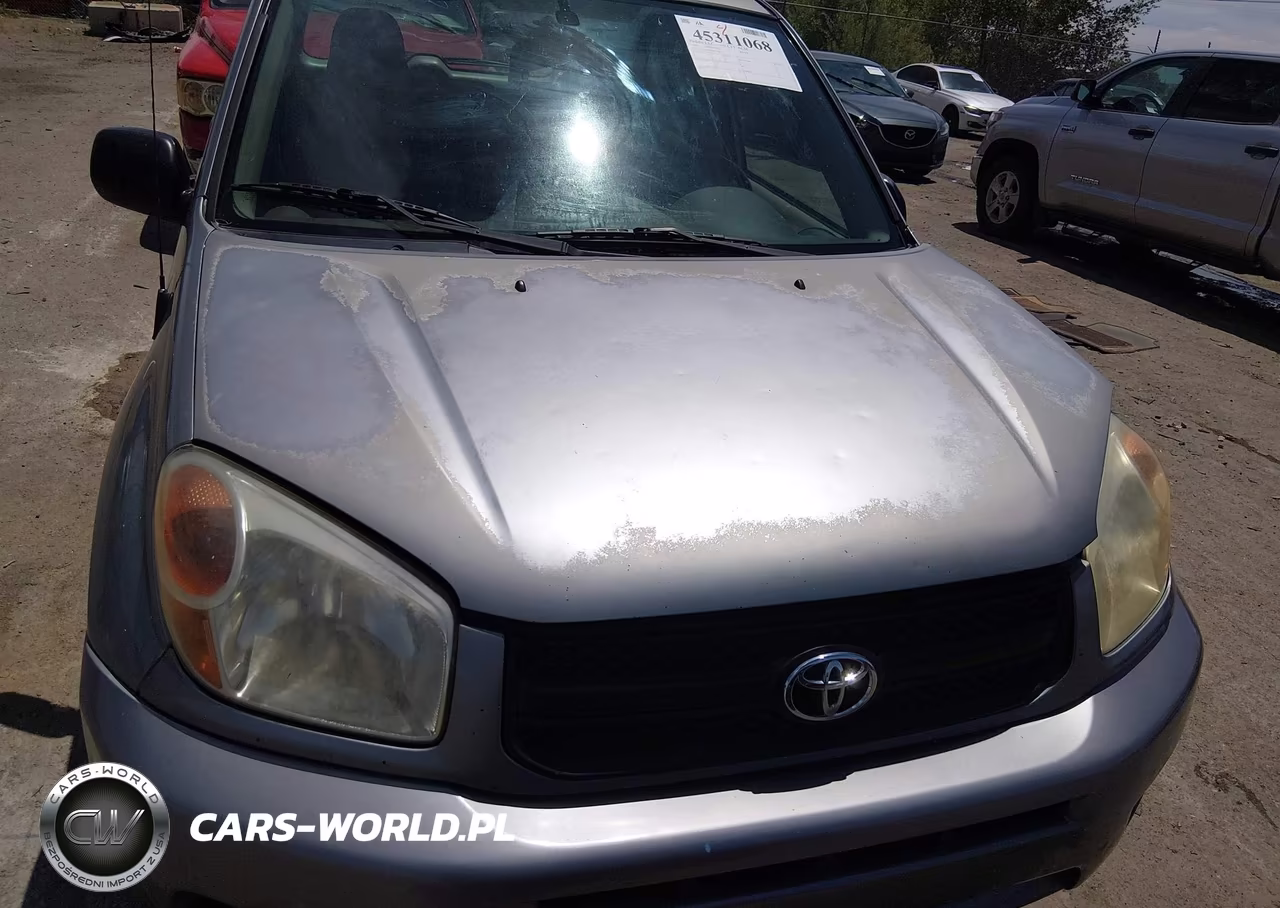 2004 Toyota Rav4 VIN:JTEGD20V340029746 - 6