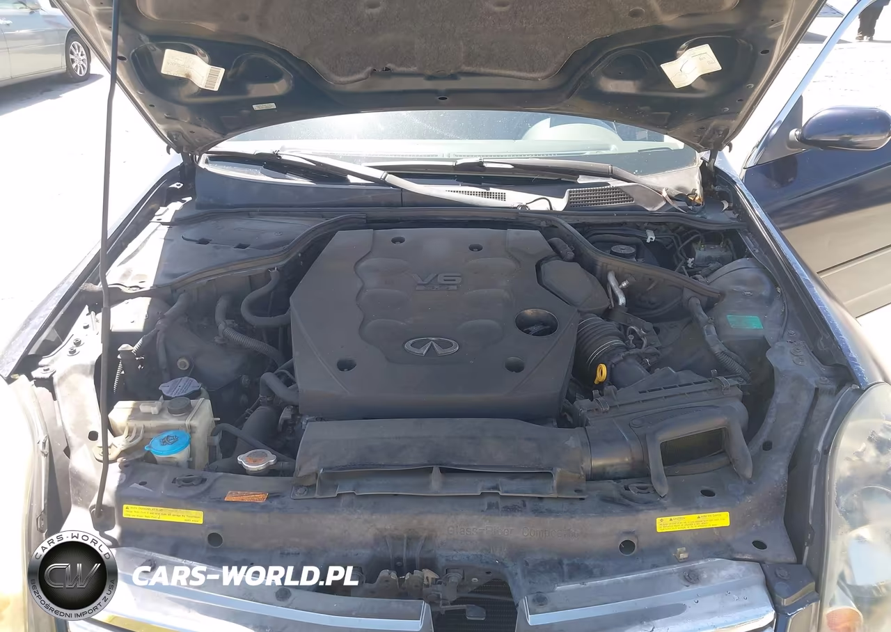 2004 Infiniti G35 VIN:JNKCV51E84M606195 - 10