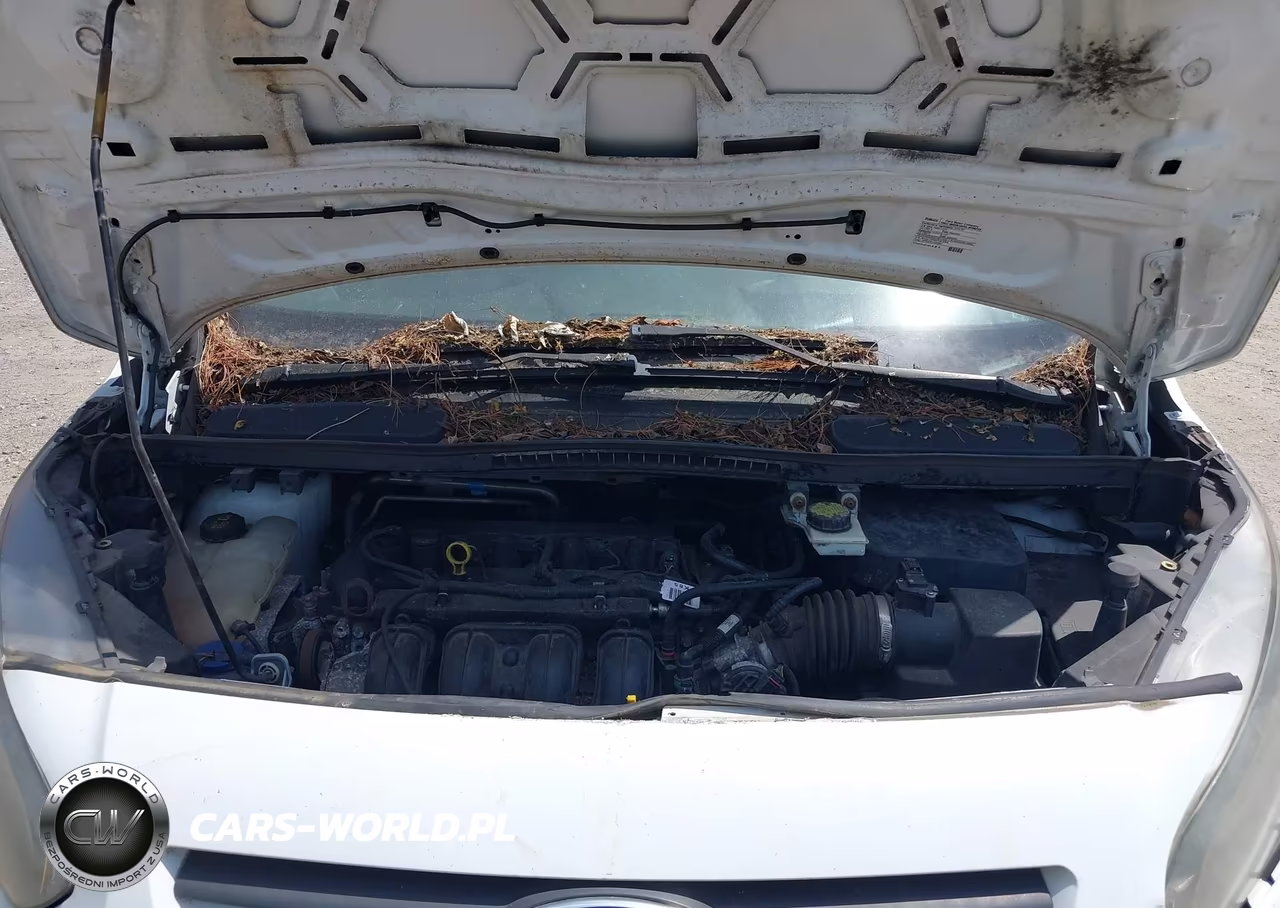 2016 Ford Transit Connect Xl VIN:NM0LS7E73G1280942 - 10