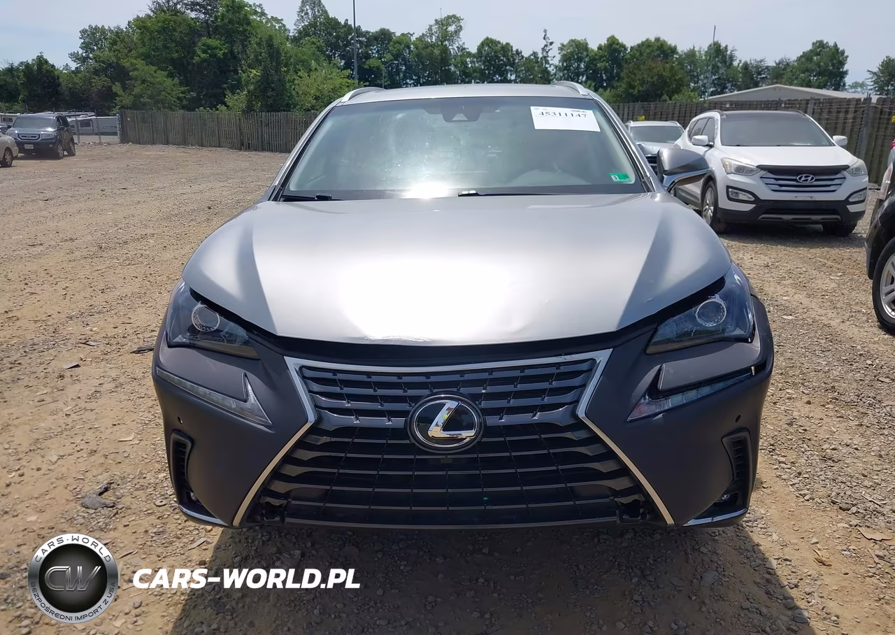 2019 Lexus Nx 300 VIN:JTJBARBZ9K2210302 - 12