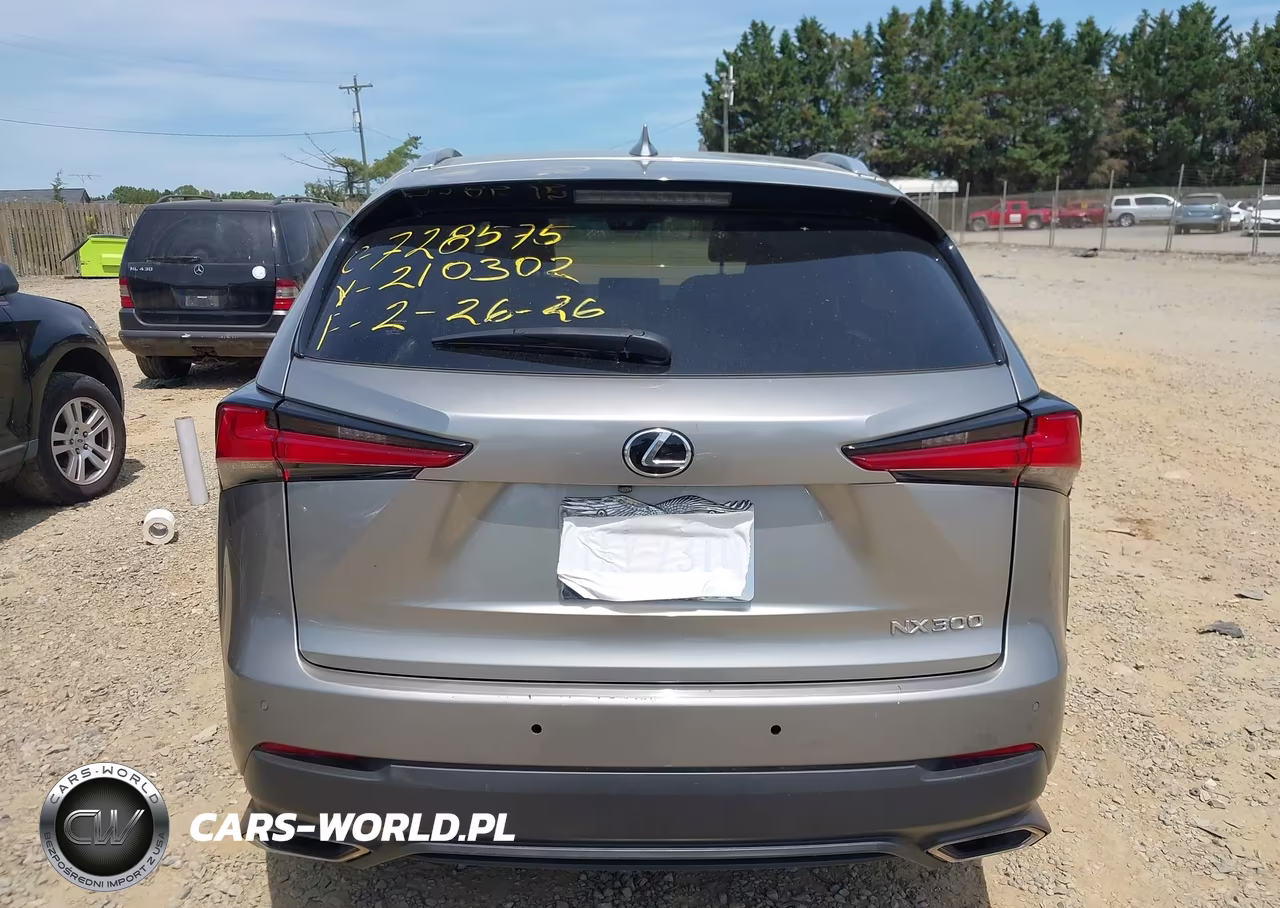 2019 Lexus Nx 300 VIN:JTJBARBZ9K2210302 - 16