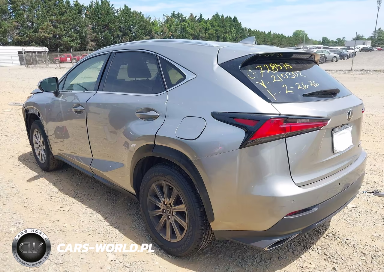 2019 Lexus Nx 300 VIN:JTJBARBZ9K2210302 - 3
