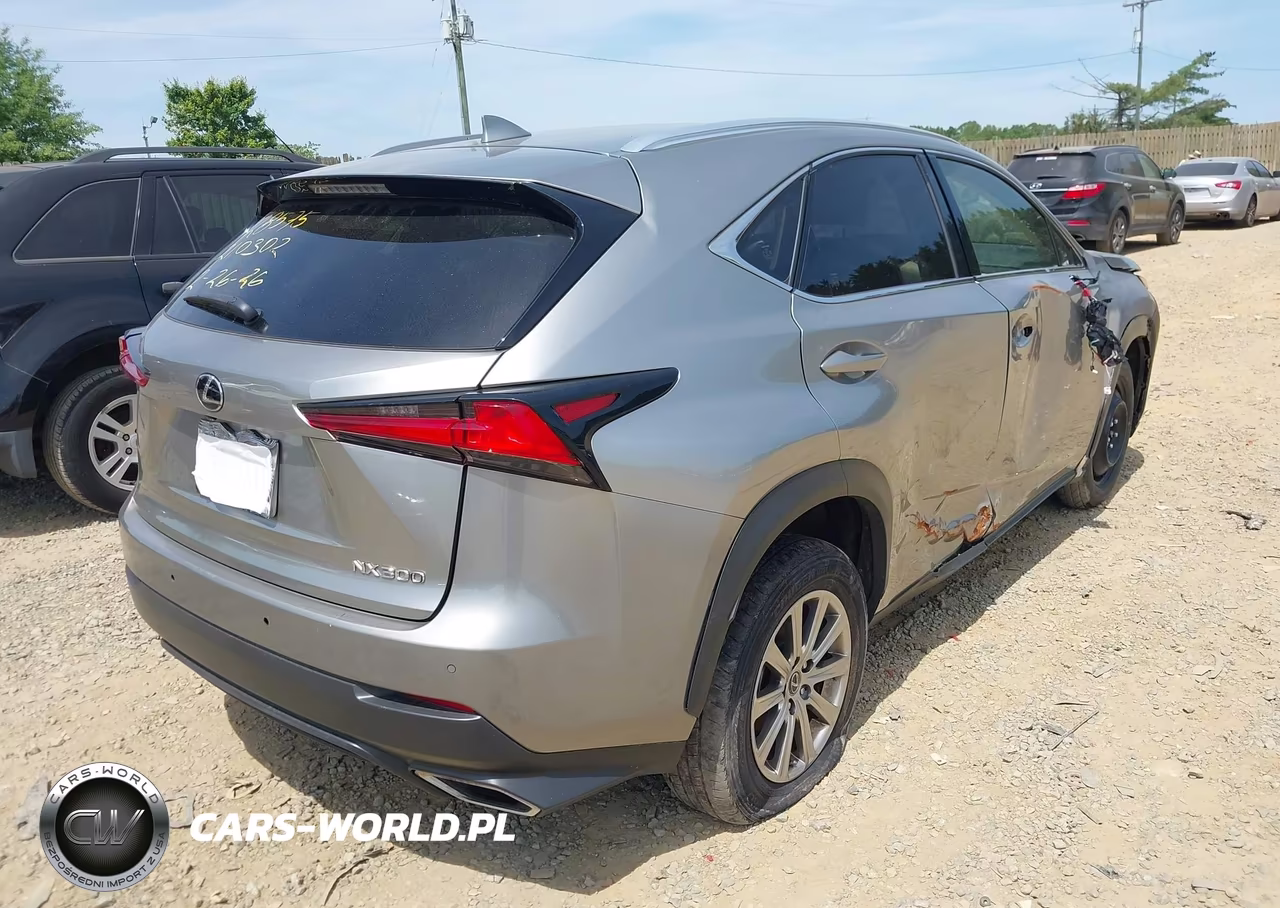 2019 Lexus Nx 300 VIN:JTJBARBZ9K2210302 - 4