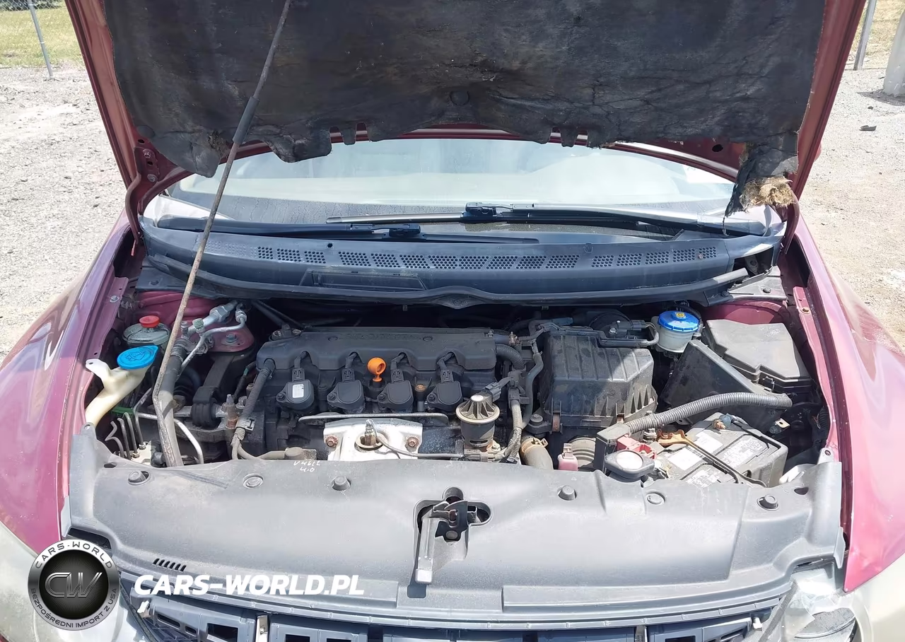 2006 Honda Civic Ex VIN:1HGFA16826L102273 - 10