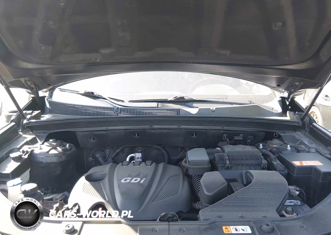 2013 Kia Sorento Ex VIN:5XYKU3A68DG410126 - 10