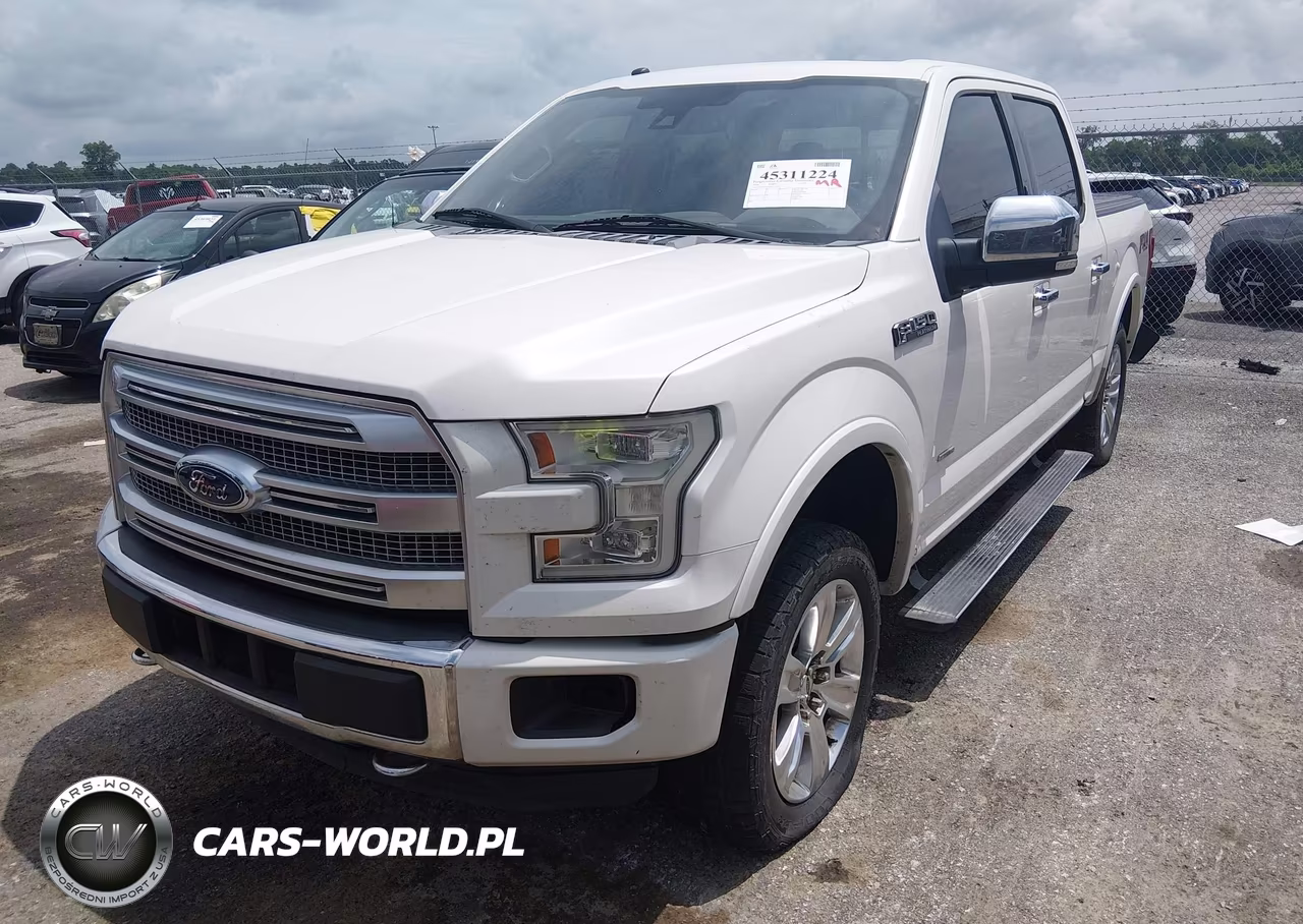 2016 Ford F-150 Platinum VIN:1FTEW1EG0GFA28369 - 2
