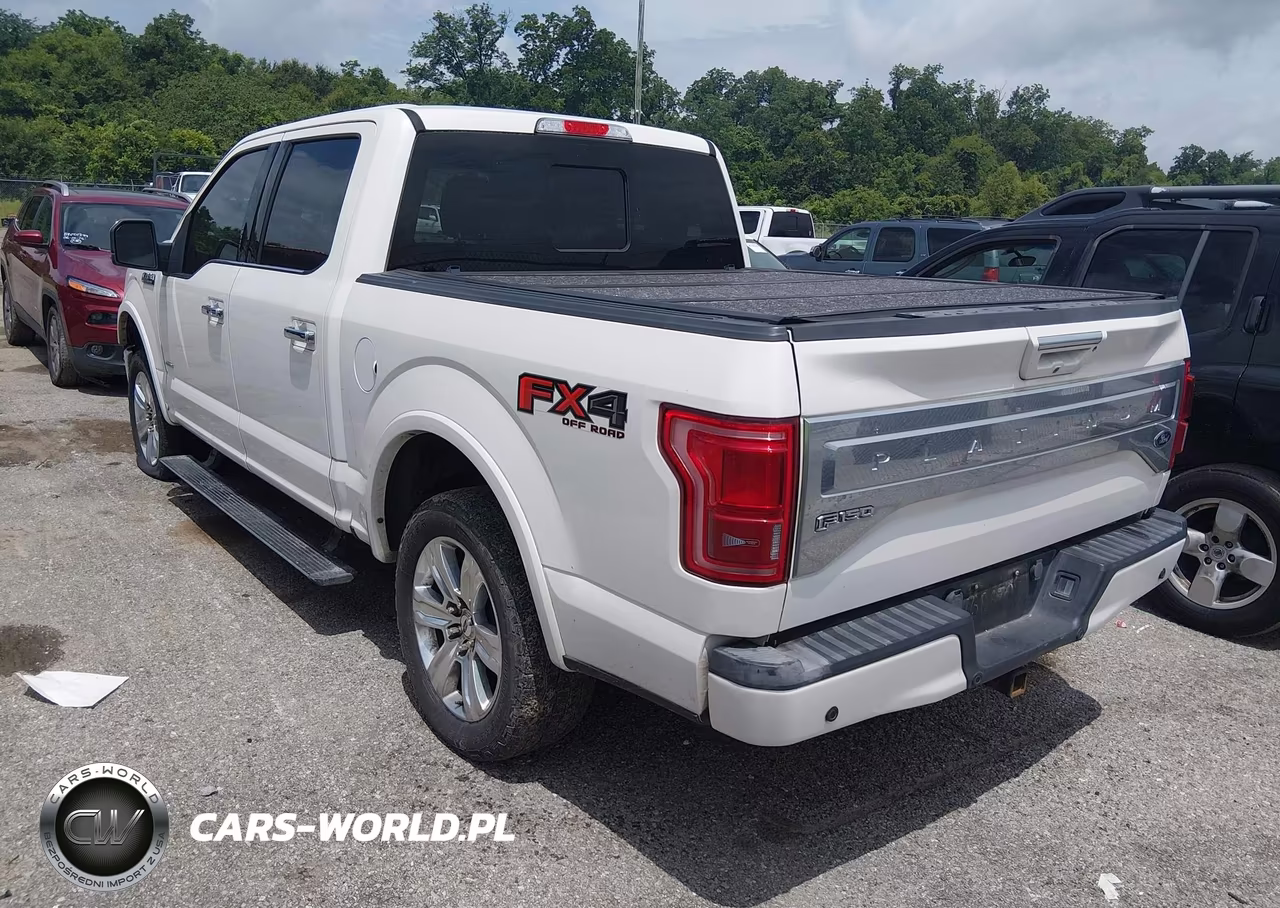 2016 Ford F-150 Platinum VIN:1FTEW1EG0GFA28369 - 3