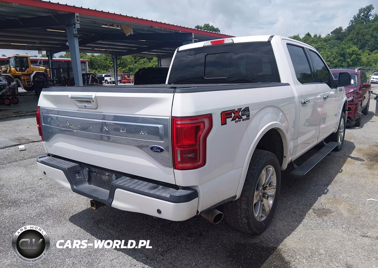 2016 Ford F-150 Platinum VIN:1FTEW1EG0GFA28369 - 4